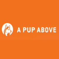 A Pup Above