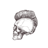 Rehair System