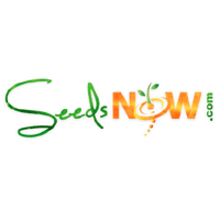 SeedsNow