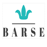 Barse Jewelry