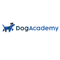 Dog Academy
