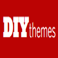 DIYthemes