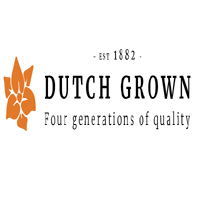 Dutch Grown UK