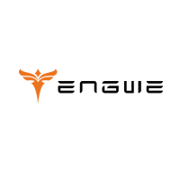 Engwe EU