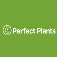 Perfect Plants Nursery