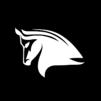 Stampede Network