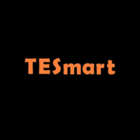TESmart