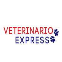 Veterinario