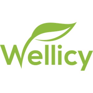 Wellicy