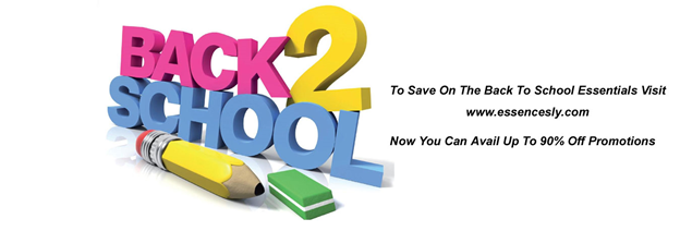 Navigating the Back to School Chaos A Professionals Guide